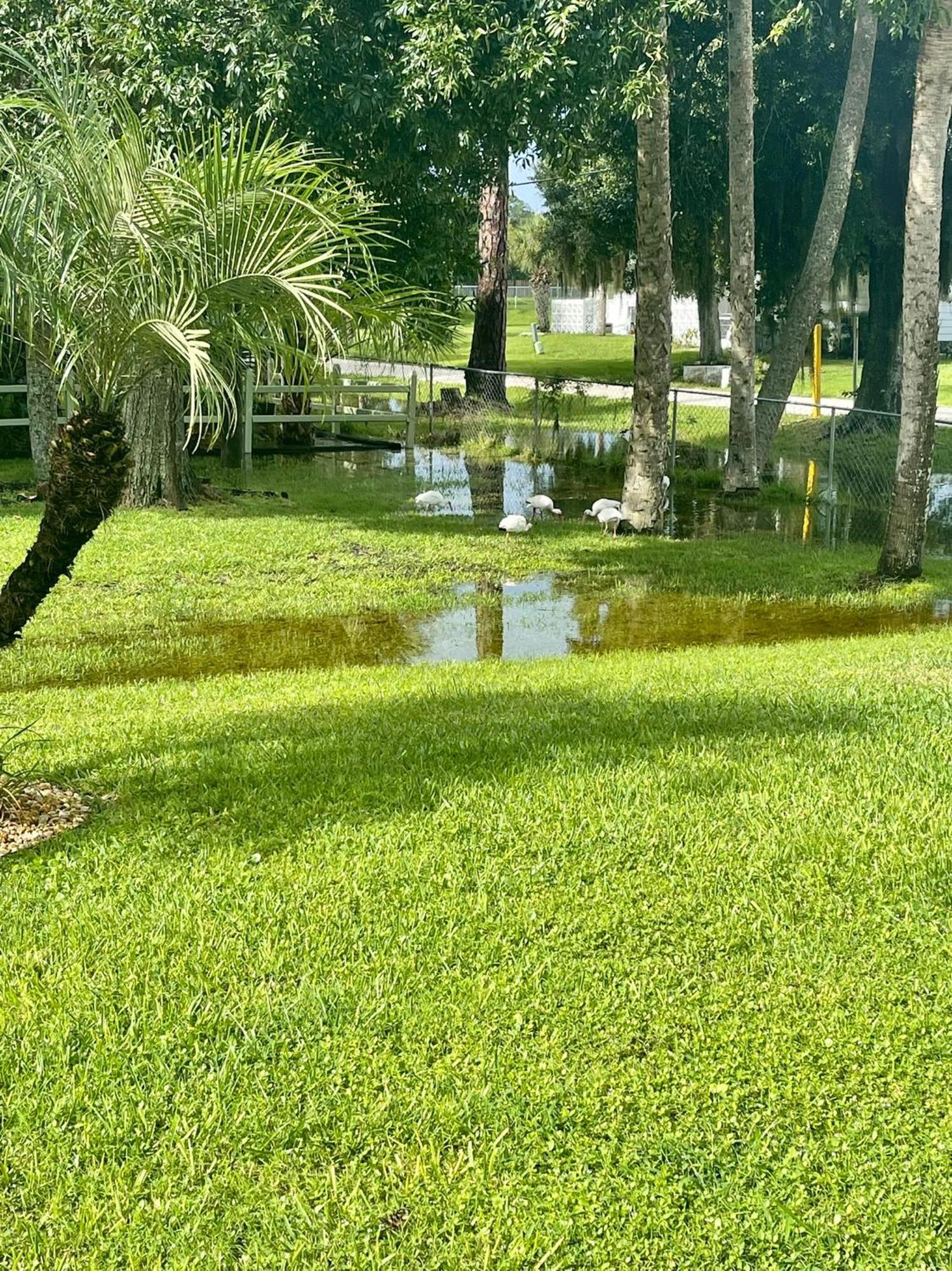 Sunny Oasis Getaway -Heated Pool-Mini Golf-Near Beach Nokomis Exterior photo